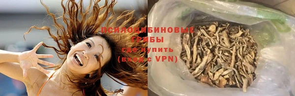 стафф Богданович