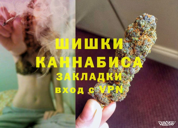 стафф Богданович