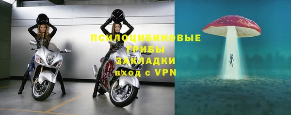 стафф Богданович