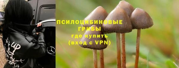 стафф Богданович
