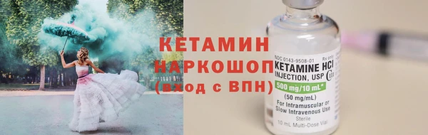 стафф Богданович