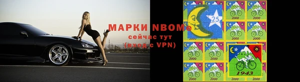 стафф Богданович