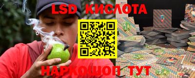 PSILOCYBIN Берёзовский