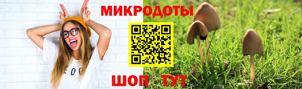 дарнет шоп  Вход с VPN  Волжск  Галлюциногенные грибы Psilocybine cubensis 